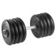 Гантель разборная 42,5 кг TITAN Barbell - d31